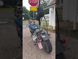 Chopper lights | How long did they last? | Rough roads | Hard Tail