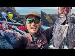 ROCKFISH LIMIT FROM SHORE | Catch and Cook for Dogs