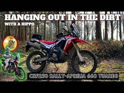 Beautiful day for a ride | crf250 rally | Aprilia Tuareg 660 | adventure