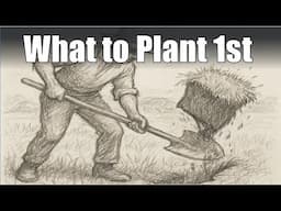 What are the The Best Crops to Plant on Newly Turned Sod?