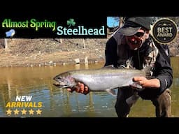 Almost Spring Steelhead after the big thaw
