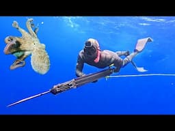 Octopus and OFFSHORE Spearfishing | Florida Keys Adventure!