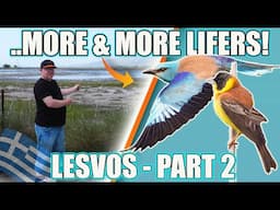 BIRDING IN LESVOS! - PART 2. MORE & MORE LIFERS!!