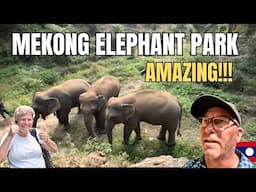 Visit the Mekong Elephant Park - Pakbeng, Laos Travel.