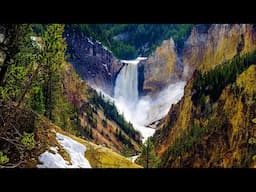Beautiful Relaxing Music, Peaceful Music, "Secret Forest" by Tim Janis