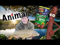 Carp Fishing - With Peperami