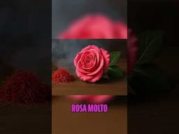 Profumo Eccezionale  Scopri la Fragranza Perfetta  #perfume