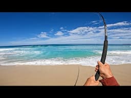 BIG FISH from the Beach