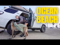 FIRST DOG BEACH IN THE US (Traveling full-time in a 4Runner)
