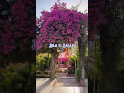 #indianwedding #destinationwedding #bhaikishaadi #veerediwedding #weddingvideo #weddingdance #vlog