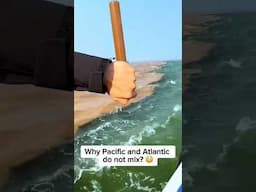 Why Pacific and Atlantic DON'T mix?