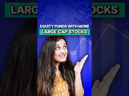 These equity mutual funds have more large cap stocks