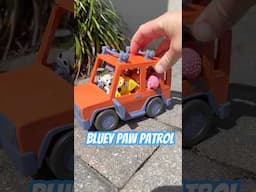 Bluey Paw Patrol Theme Song