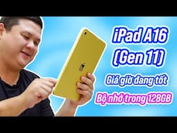 iPad (A16) Gen 11 năm nay giá tốt quá: 8-9tr thôi