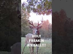 Hunting Big Bucks Over Big Scrapes Raised Scents Are Back! #airball #deerhunting #hunting #trailcam