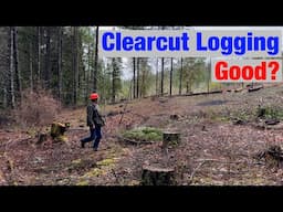 I Clearcut My Forest (Here's Why)