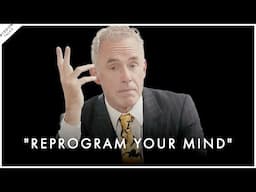 4+ Hours of Jordan Peterson to fall asleep to