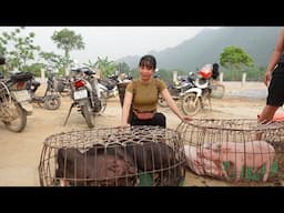 Gardening - Harvesting - Selling - Buying piglets - A self-sufficient way of living in the forest