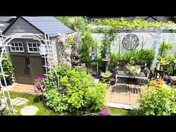 JUNE | RELAXING TINY BACKYARD GARDEN TOUR | June 16,2025