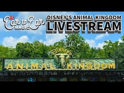 🔴 LIVE - Disney's Animal Kingdom - Family Fun Friday - Walt Disney World Livestream 05.02.25