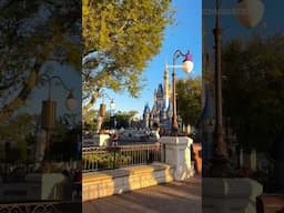 A 14hr day at Magic Kingdom 🏰✨