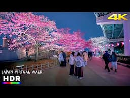 Tokyo Japan - Sumida Cherry Blossom Festival Night Walk • 4K HDR