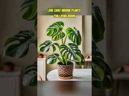 ☝️Check Out Full Video #indoorplants #livingroomplants