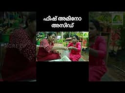 ചെടികൾ പെട്ടെന്ന് പൂക്കാനും കായ്ക്കാനും എളുപ്പത്തിൽ ഉണ്ടാക്കാം ഈ വളക്കൂട്ട് #farmingtips