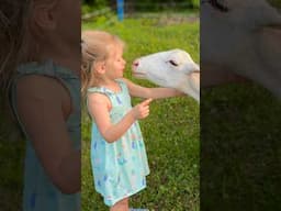 Farm Girl 🐑