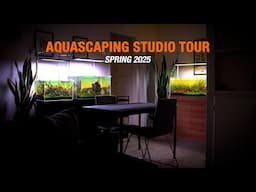 AQUARIUM INSPIRATION | All My Aquascapes Spring 2025