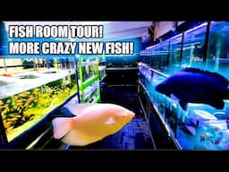 TROPICAL FISH ROOM UPDATE: NEW FISH + TOUR!