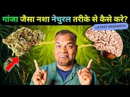 How Your Brain Makes Its Own Marijuana? बिना वीड के नशा? बॉडी खुद बनाती है अपना गांजा!