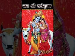 🚩जय श्री कृष्ण🙏श्री बांके बिहारी, दया हम पे करना, हम को सदा अपने चरणों में रखना🙏🚩Jai Sri Krishna 🙏🕉🚩