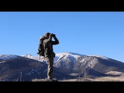 THE FUTURE OF WILD SHEEP IS IN OUR HANDS