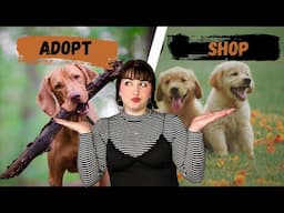Adopt vs Shop vs Breeders | The Pros and Cons