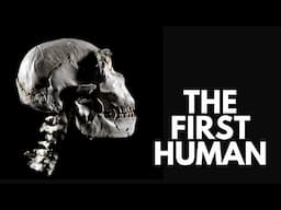 Homo Ergaster Is The KEY To Understanding Human EVOLUTION