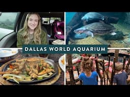 Day Trip to the Dallas World Aquarium 🐟