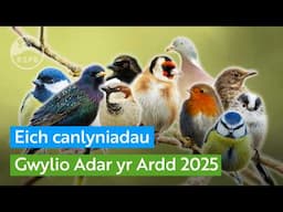 Eich Gwylio Adar Mawr yr Ardd 2025 | RSPB