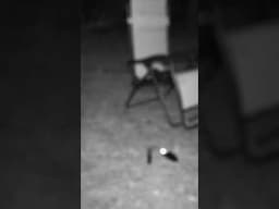 SOMETIMES You Have To TRICK THE GHOSTS | INSANE PARANORMAL CAPTURED WITH REM POD And EMF Reader