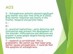 Neural Correlates as an Explanation of Schizophrenia