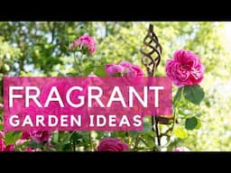 10 top scented plants to transform your garden and lift your mood