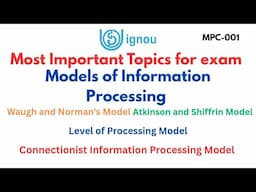 Models of Information Processing