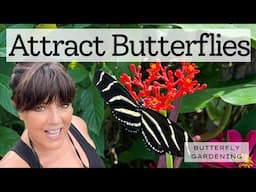 Backyard Garden Tour:  Walk With Me Through Our Garden Designed to Attract Butterflies