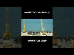 Biggest Catches of all time #shorts #fishing