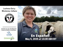 Loehmer Dairy in SPANISH - Adopt A Cow Live Chat 2025