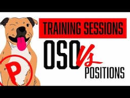 Oso’s Struggle with Positions 😅 | Real-Time Dog Training Breakdown