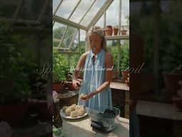 My Kitchen Garden Arancini Recipe 🫛#cooking #kitchengarden