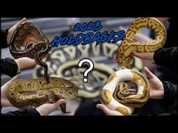 Why We Had to Keep These Ball Pythons!