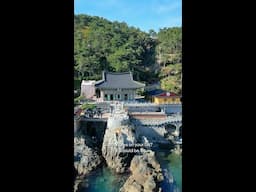 BEST Time to Visit SOUTH KOREA for *Adventure*