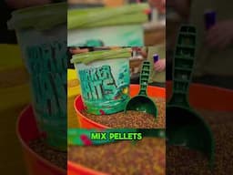 Which Pellet is your FAVOURITE?